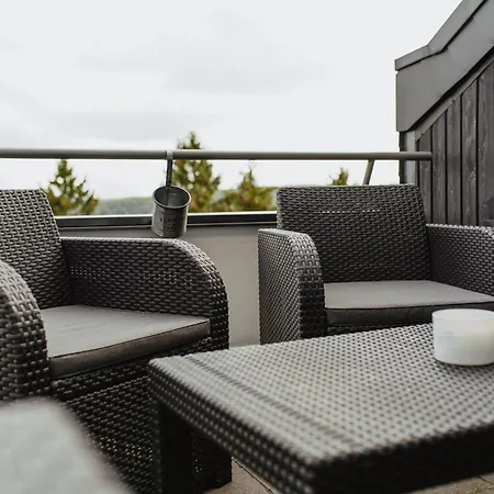 Nature Vibes Pool Sauna Terrasse Wifi Balkon Near Lift Winterberg
